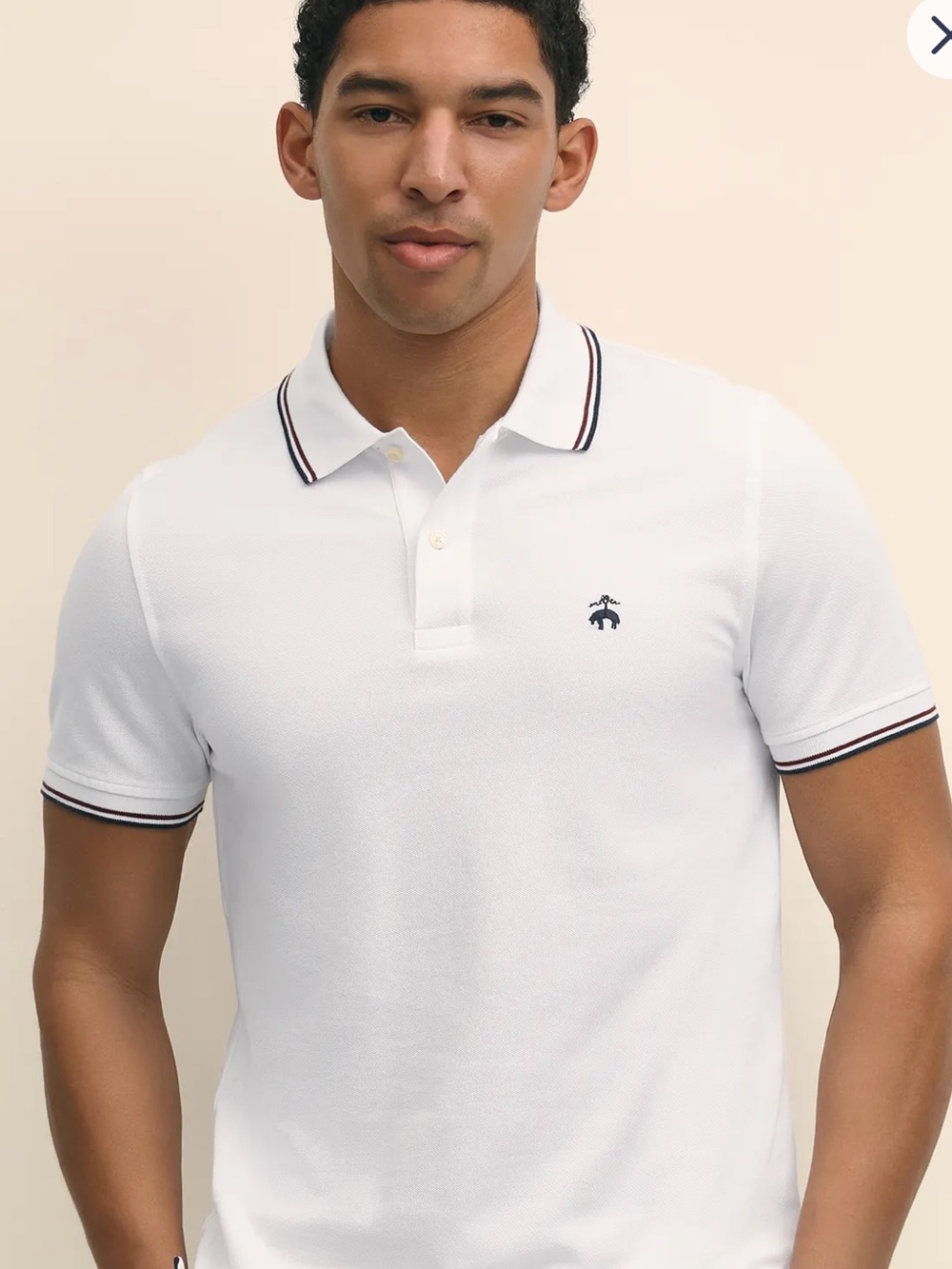 Brooks Bros Polo